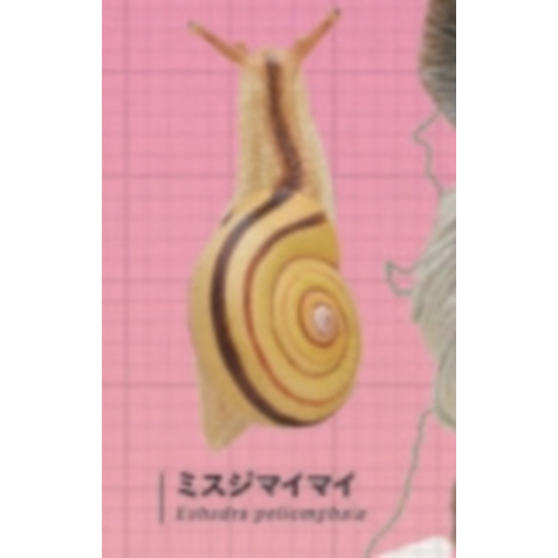 Япония Ikimon Gashapon Капсуль – обзор и цена Capsule Toy Gashapon